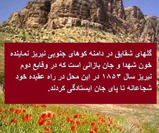 "Red poppy flowers symbolize those who die during war. The flower can often be seen in the Southern Mountain of Neyriz, where many Baha'is were killed in 1853"