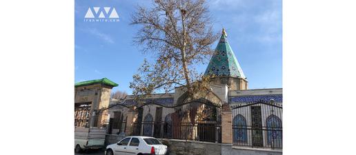 امام‌زاده یحیی و قدیمی‌ترین چنار تهران؛ نذر شمع پای درخت