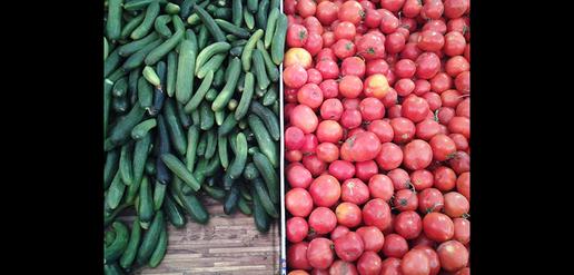Rouhani Attacked For Surge in Tomato Prices