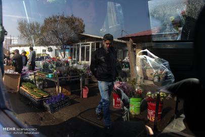 Nowruz is Almost Here
