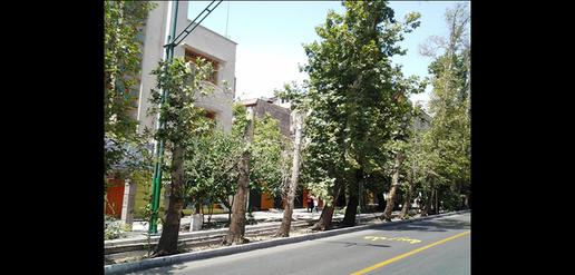 قتل عام چنارهای ولیعصر با مترو