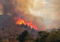 تداوم آتش‌سوزی در جنگل‌های کردکوی؛ از بالگردها خبری نیست