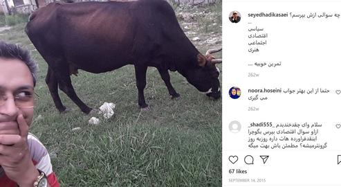 Court Exonerates Iranian Journalist Charged with Bovine Selfie