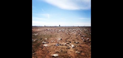 “Flying Garbage:” A Big Environmental Threat