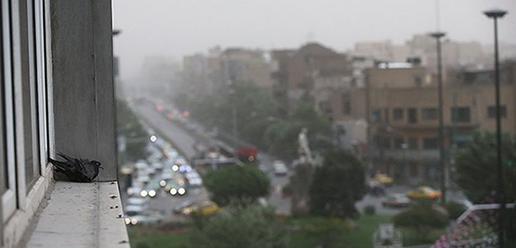 Tehran Storm Leaves Four Dead and More Than 50 Injured