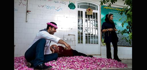 Celebrating the World’s Favorite Rose