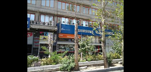 قتل عام چنارهای ولیعصر با مترو