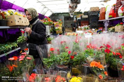 Nowruz is Almost Here