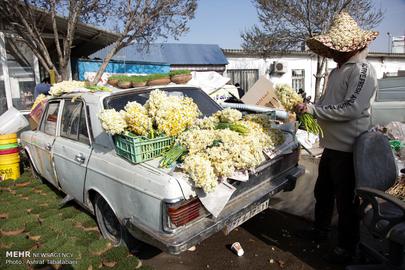 Nowruz is Almost Here