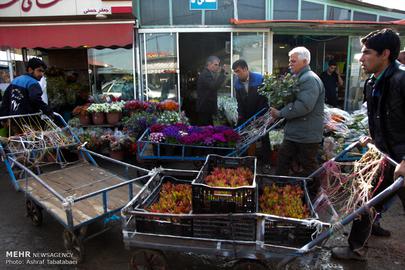 Nowruz is Almost Here