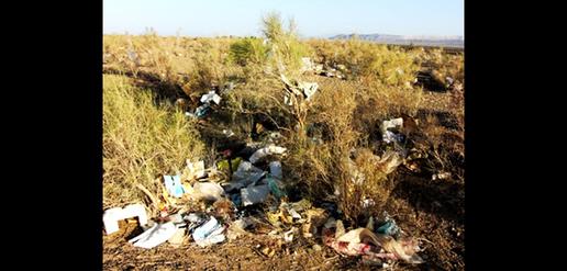 “Flying Garbage:” A Big Environmental Threat