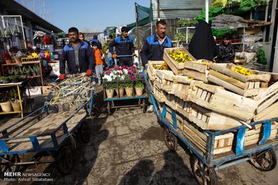 Nowruz is Almost Here
