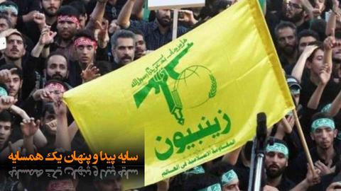 «لشکر فاطمیون»، متشکل از اتباع افغان و «لشکر زینبیون» تشکیل شده از اتباع پاکستان، دو گروه عمده شبه نظامی هستند که اینک در منطقه فعالیت دارند