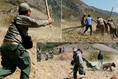 دستور برخورد با محیط بان های گلستان که به توله خرس فراری حمله کرده بودند