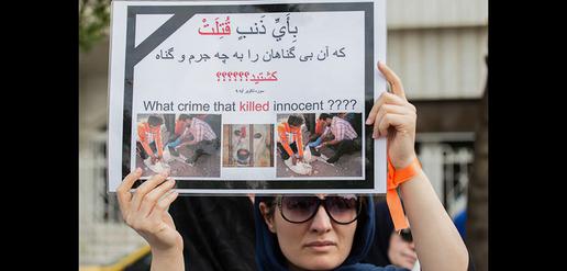 "What crimes have these innocent animals committed?"