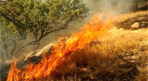 آتش دوباره در جنگل‌های کهگیلویه و بویر‌احمد شعله‌ور شد