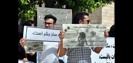 "Those responsible for killing dogs in Shiraz must be punished."
