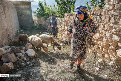 Women of Kiasar Village
