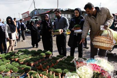 Nowruz is Almost Here