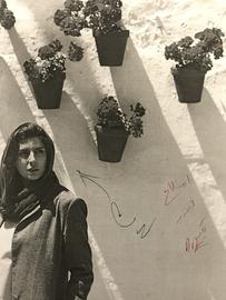 Editors are asked to adjust photographs of movie posters that reveal women's hair, even if it is a film starring a famous Iranian actress such as Leila Hatami