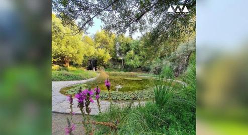 Dispatch From Tehran: National Botanical Garden at Risk
