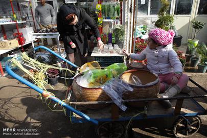 Nowruz is Almost Here