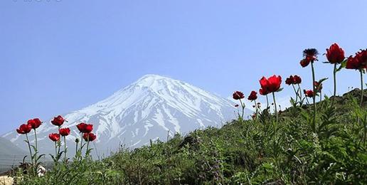 ماجرای دماوند وقف نیست، غصب است