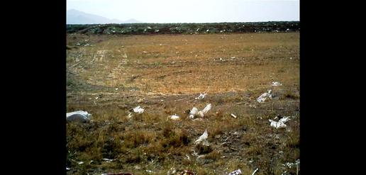 “Flying Garbage:” A Big Environmental Threat