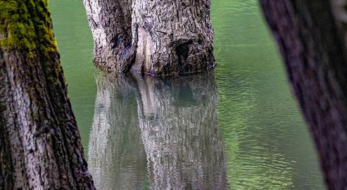 Our Iran: The Beautiful Lake Chort