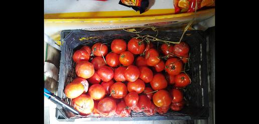 Rouhani Attacked For Surge in Tomato Prices