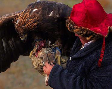 عقاب‌های شکاری مغولستان