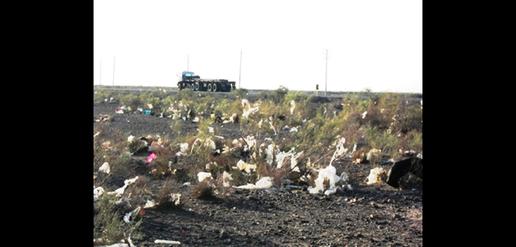 “Flying Garbage:” A Big Environmental Threat