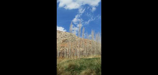 گزارش تصویری از منطقة نمونه گردشگری فرحزاد مجن