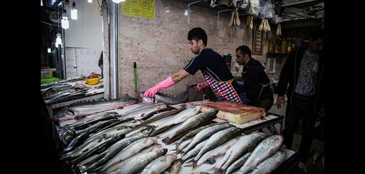 A view of daily life in Iran