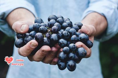 هسته انگور سیاه و قرمز پر از فلاونول است و با بالا بردن هورمون‌های تعقیب و گریز در بدن، می‌تواند به چربی‌سوزی کمک کند.
