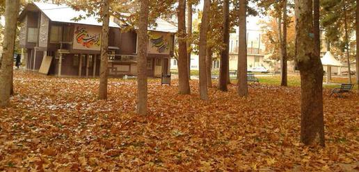 An Almighty Autumn in Ilam