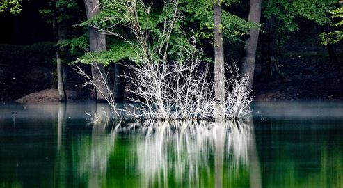 Our Iran: The Beautiful Lake Chort