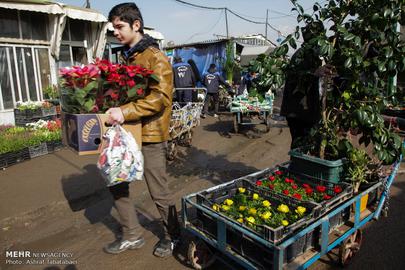 Nowruz is Almost Here