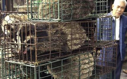 ممانعت دولت چین از تحقیق درباره علت شیوع کووید-۱۹ و بستن بازارهای فروش حیوان‌های وحشی