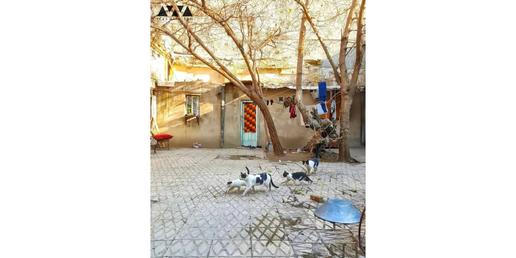 خانه « آقا عبدالباقی ارباب»