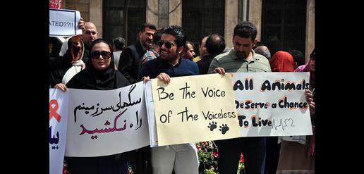 "Don't kill our country's dogs"