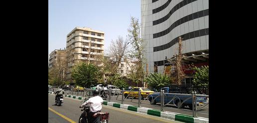 قتل عام چنارهای ولیعصر با مترو