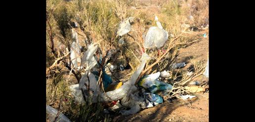 “Flying Garbage:” A Big Environmental Threat
