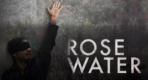 The Rosewater Campaign: What can be Done for Jailed Journalists Today?