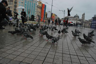 استانبول؛ تهران شاه 30 سال بعد     