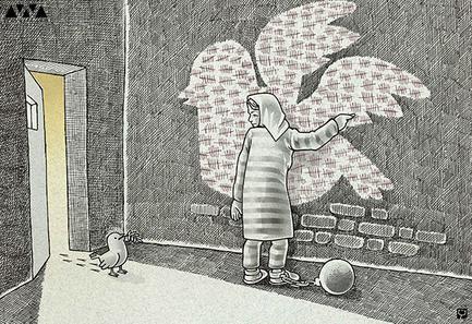 Freedom Dove