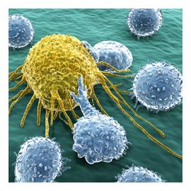 سرطان با عقبگرد سلول‌ها به شرايط دوران جنينی رخ می‌دهد