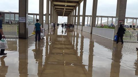چند نما از نمایشگاه کتاب تهران پس از باران