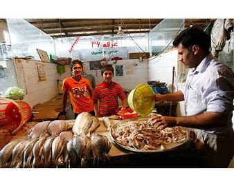بازار ماهی آبادان 