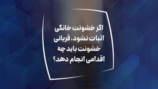 اگر خشونت خانگی اثبات نشود، چه اقداماتی لازم به اجرا می‌باشد؟